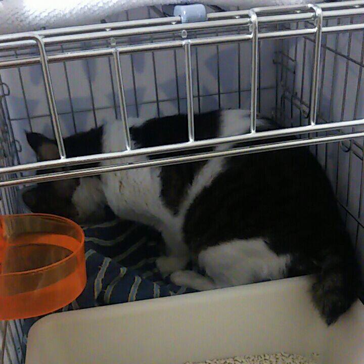 1ded643b 5612 430a 88a7 3bc5080e6cdd 1537591746539