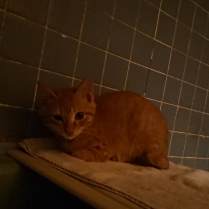 1ded70f4 1395 4d8c acef ebebd313511d 1632648775686