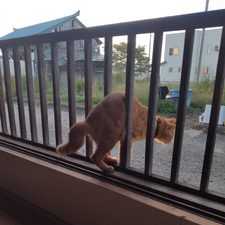 1ded977d c64e 4624 8973 077947578d5f 1663457170653