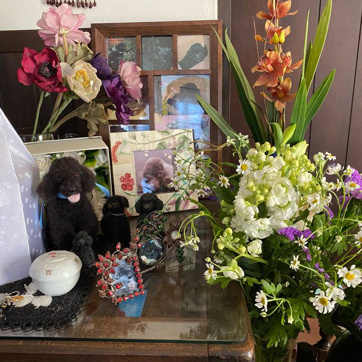 1dedabbd 520e 4c57 ba32 7c8b22c796a3 1645497049940