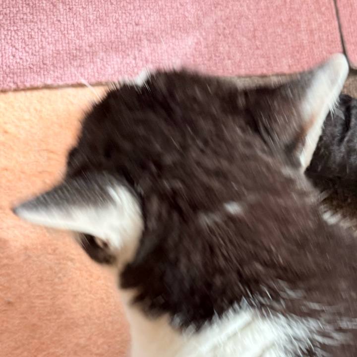 1dedd579 83b4 4a2e 8f51 6fd5529256fb 1742005932833