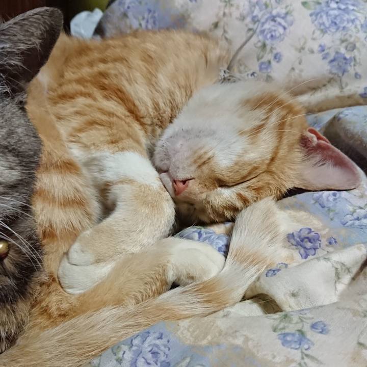 1dedde62 dffe 41be b21e ecb431cb8738 1590150210729