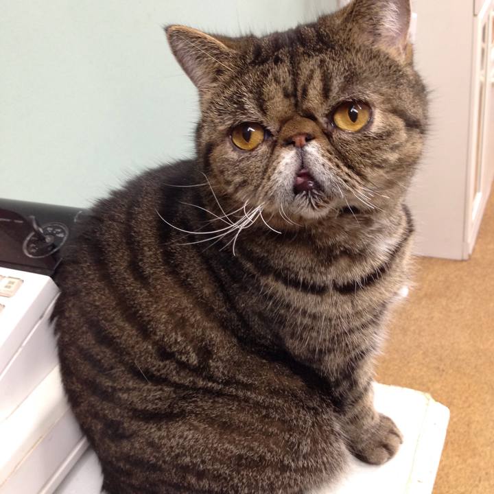 1dedf518 7ae9 4eb3 b73b fd6360ce3c06 1512522496376