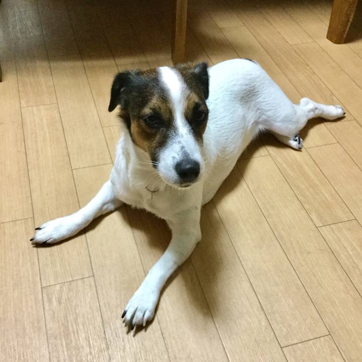 1dedf94b 2336 4fd6 a70a 5ee23892d7ca 1541747592096