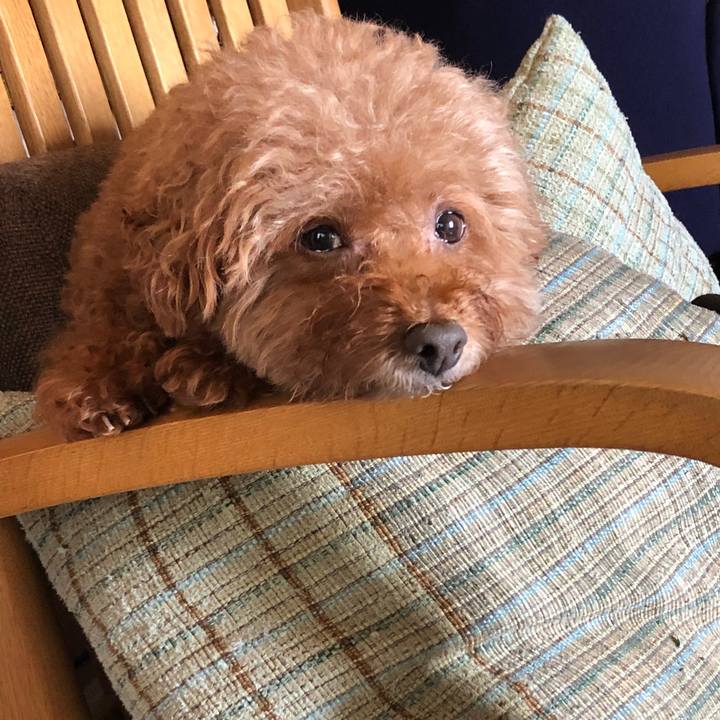 1dee089c 66a4 437d 8ef9 8005ba887d6c 1549427713754