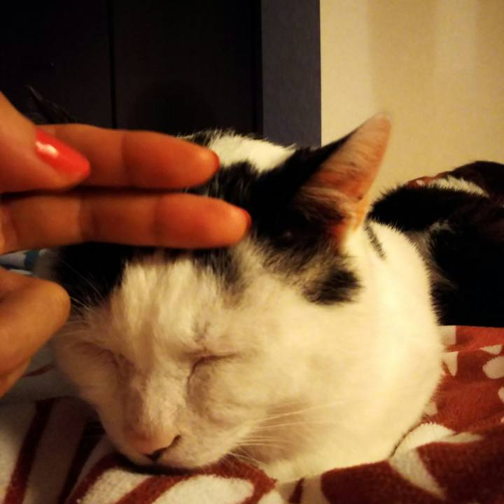 1dee12e5 68da 4293 80ed aded16a3917b 1561204094646