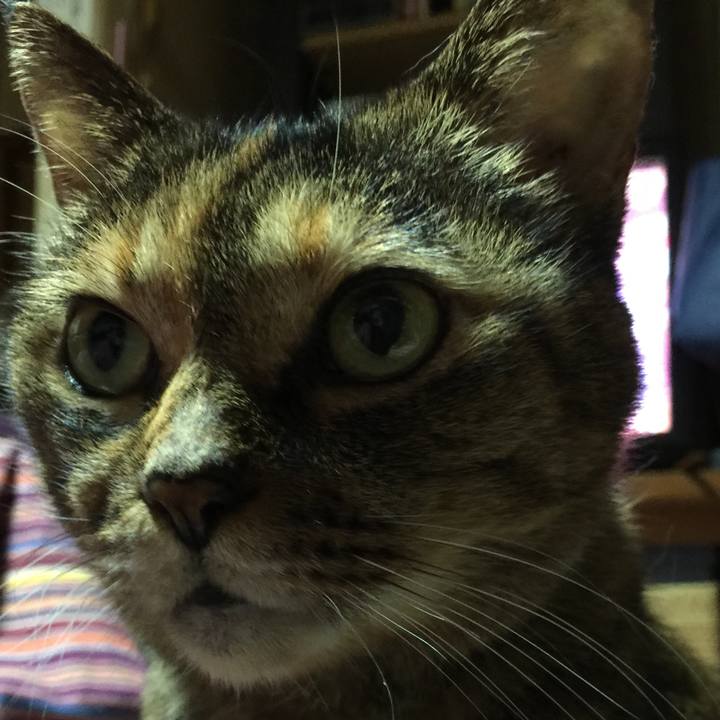 1dee1f7f 28ab 421c a8e3 29d14716cc81 1544005344640