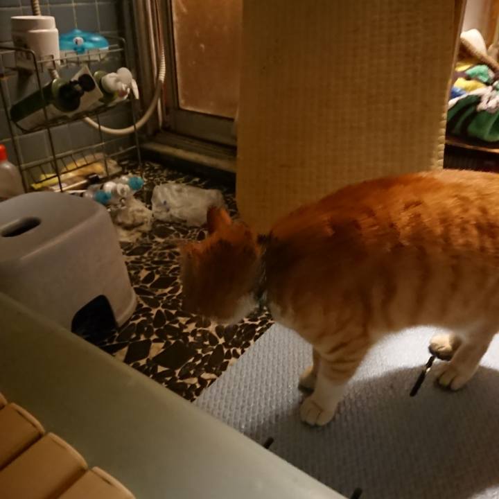 1dee27e3 3c02 4378 9d3d 899f942259f3 1583231709045