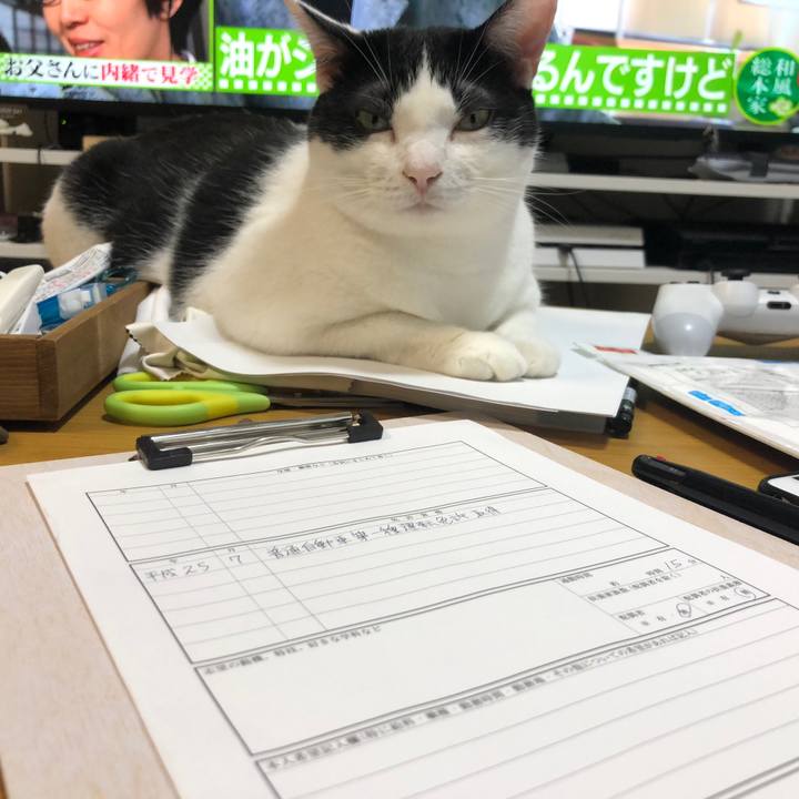 1dee376e 2d31 422a 8fb6 52e4a5207a81 1539264964876