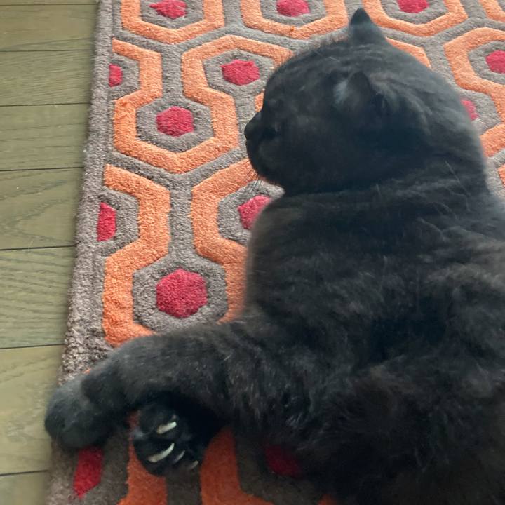 1dee3a41 5746 49cb bacd f3a5f56fd5a1 1601168570435