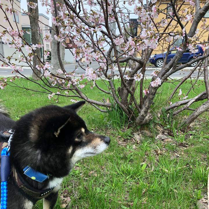 1dee6b24 2a7f 4e67 821e d93854372f4f 1525515559376