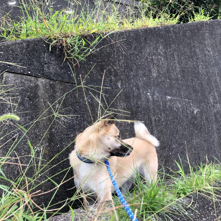 1deeb5cb 8d22 475e ba46 453474baf256 1566736024715