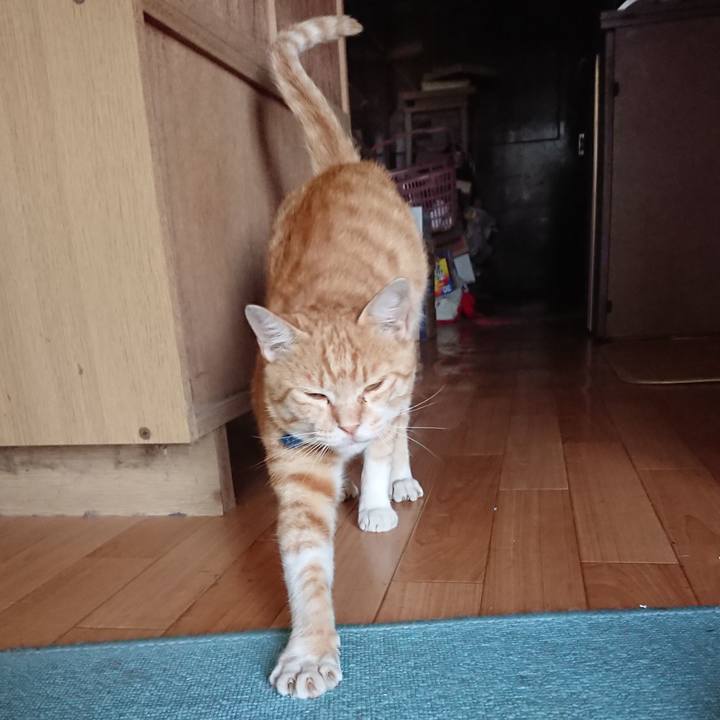 1deec036 d3e8 48f3 9e49 4181c3dfdb6d 1562751198157