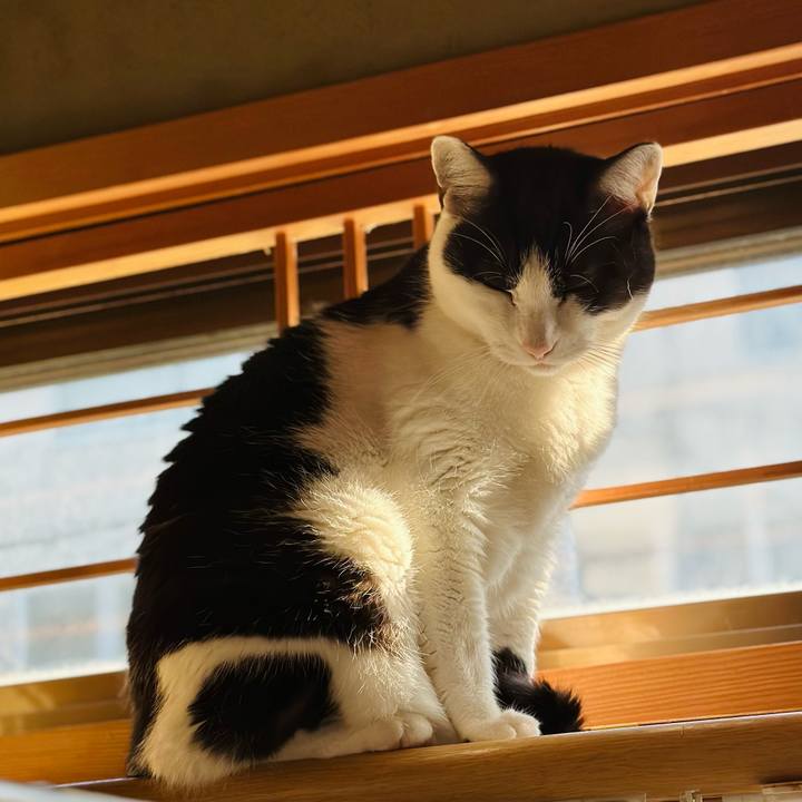 1deefe97 132e 4de5 8085 ebb018ae60c2 1700789930847