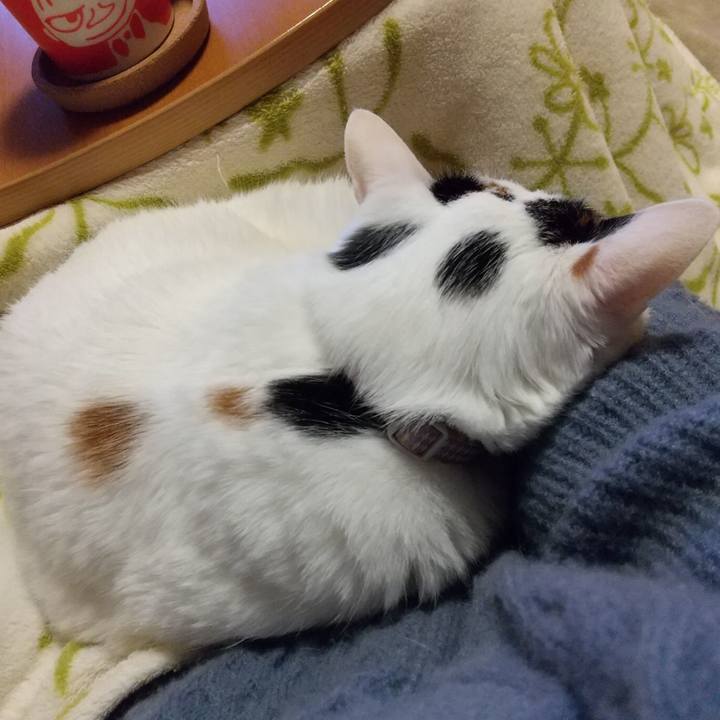 1def19a6 efcc 4215 b4cc b381e3867f63 1648382290807