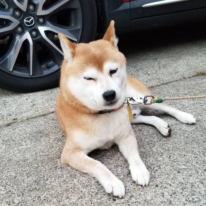 1def3495 7581 47a6 804d 31a8d1a31e2c 1566725366464