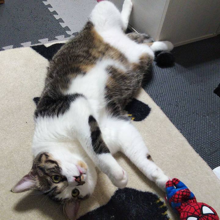 1def3d03 8233 4270 be2e 5f1ff5037201 1631273871150