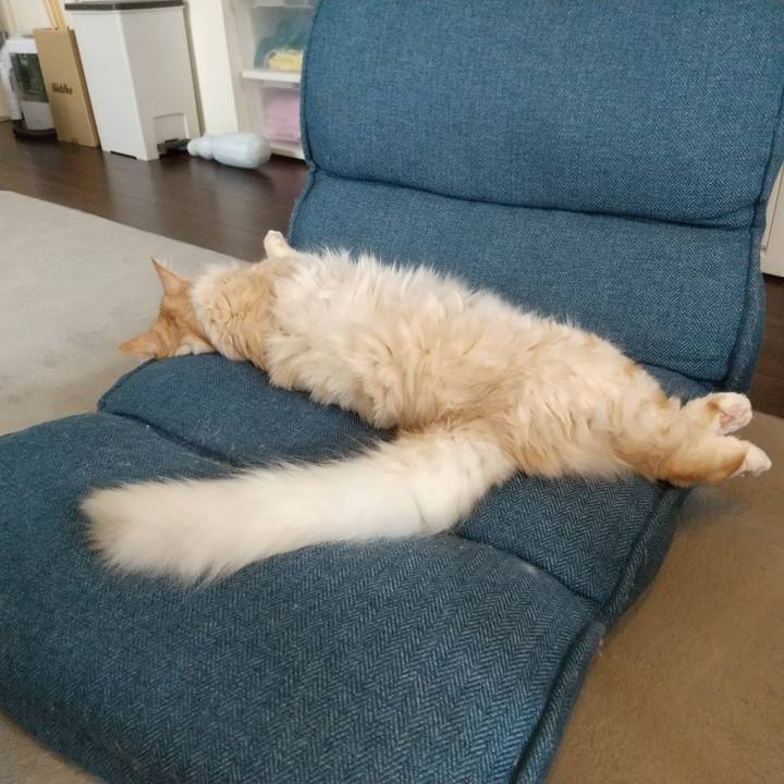 1def4b94 9c33 4c2c 92ac 506fd1343721 1626750862162