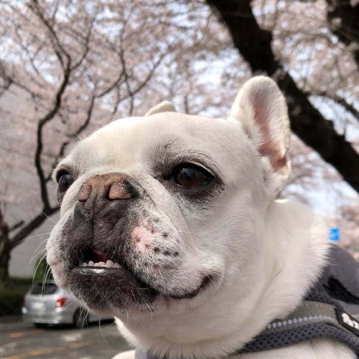 1def5d01 e13e 44c1 8d0e dec41fdff714 1648966670858