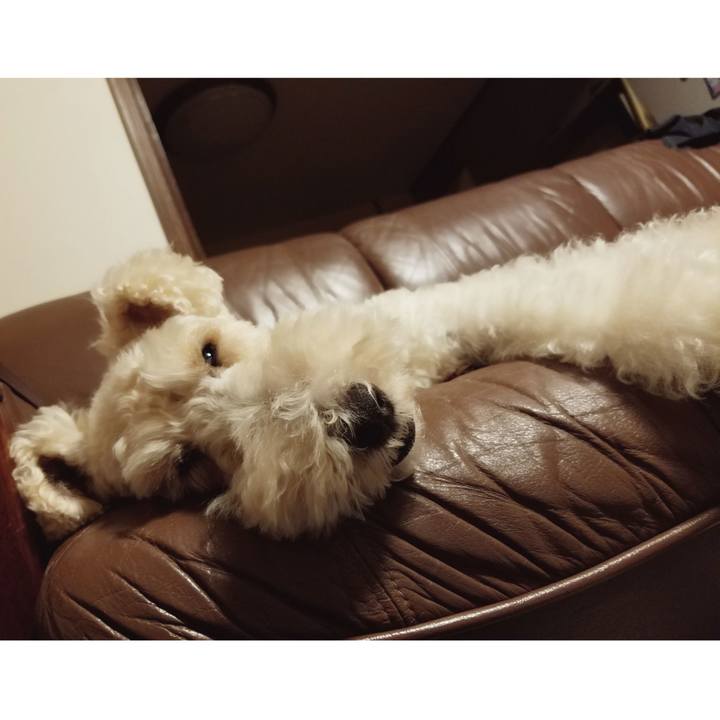 1def9ff4 5e68 4800 9131 06b02544f107 1540321055358