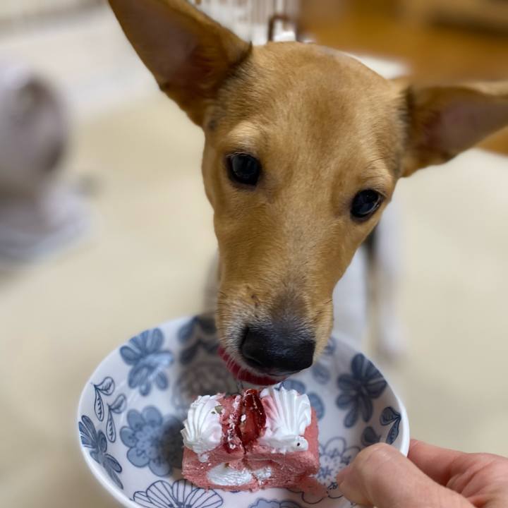 1defb1f5 be9a 43e8 ad69 706ab0f3e216 1761681355282