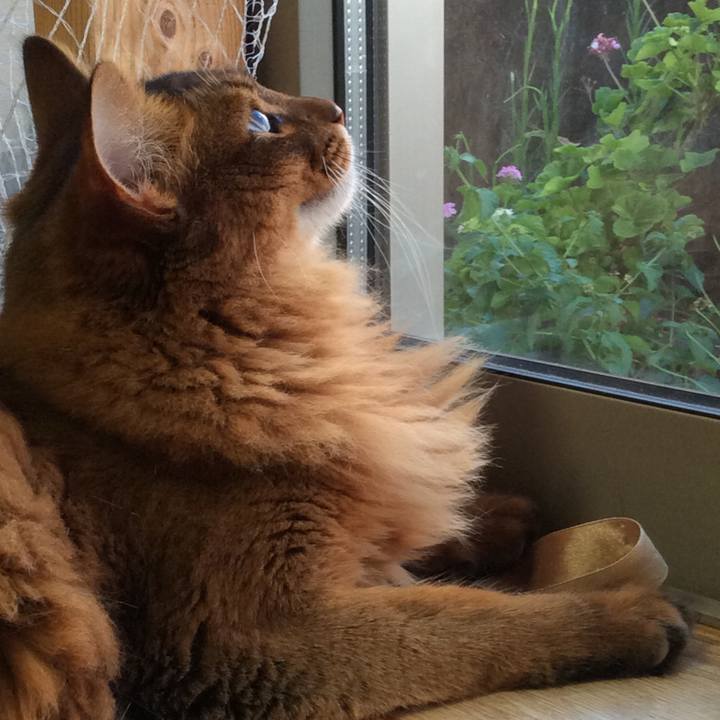 1defc9b0 a623 4a3d abe0 d4dd5085e5c5 1598922503640