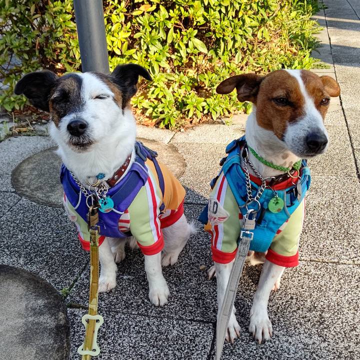 1defd659 4f66 48f9 9c2f 0516e363ac98 1648074712596