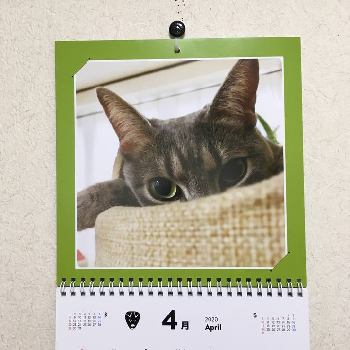 1deff4be c655 463e a8b5 7ea1b2c24c0c 1586052655610