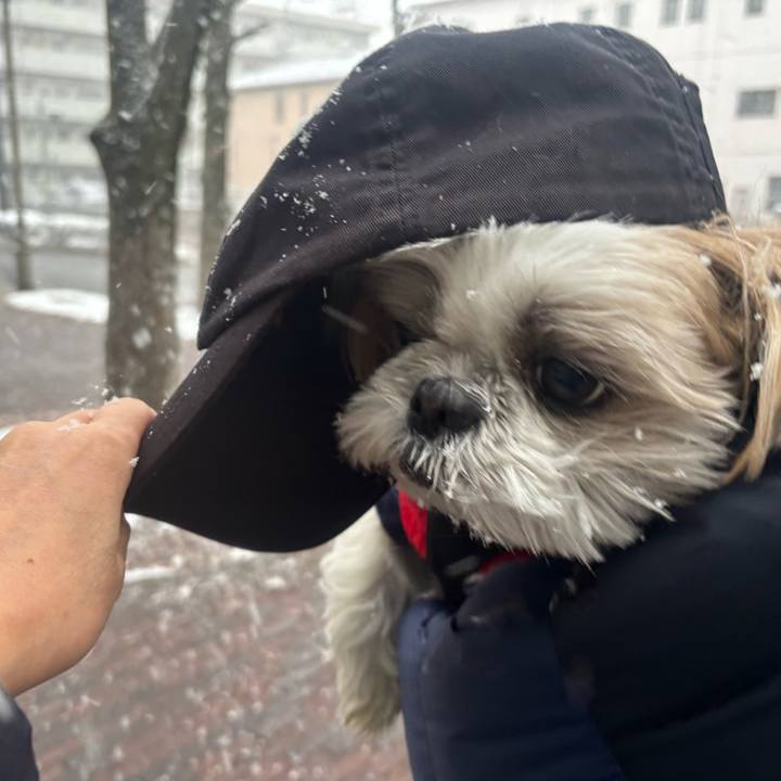 1df00b1f de45 43f1 b169 239989bb105f 1770547110359