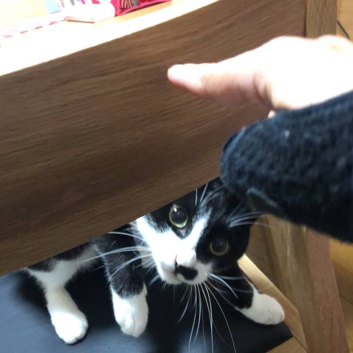 1df02678 52e5 4849 9636 3f43f113f0d2 1540633432398