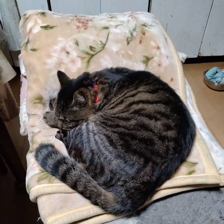 1df08d32 fb9c 4724 ab45 daeb5825fa0d 1671883501638