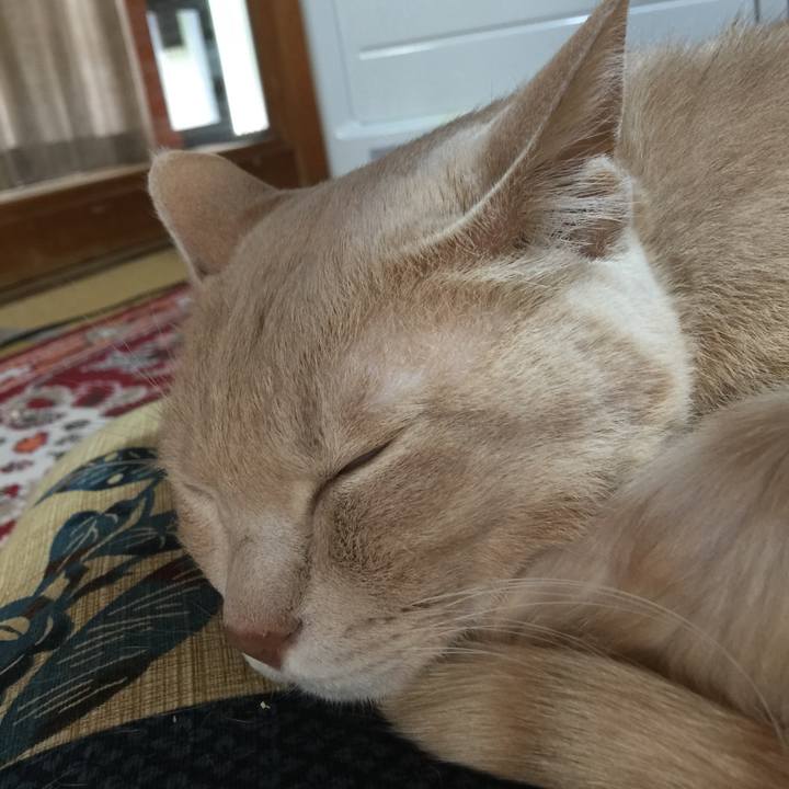 1df09328 9233 4237 aea8 9edc5b9c2874 1589498670081