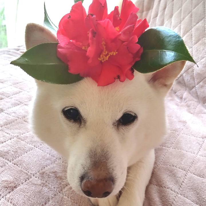 1df0b1f7 4191 428b a478 4502c346667c 1680053701662