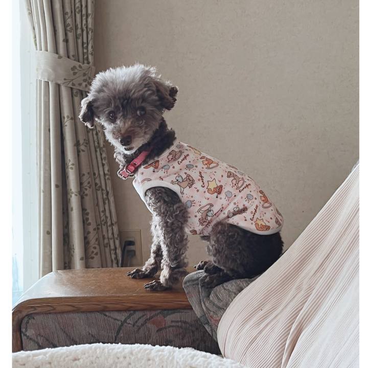 1df0d2e1 48c2 48a5 ba23 727b39b59f36 1667433453515