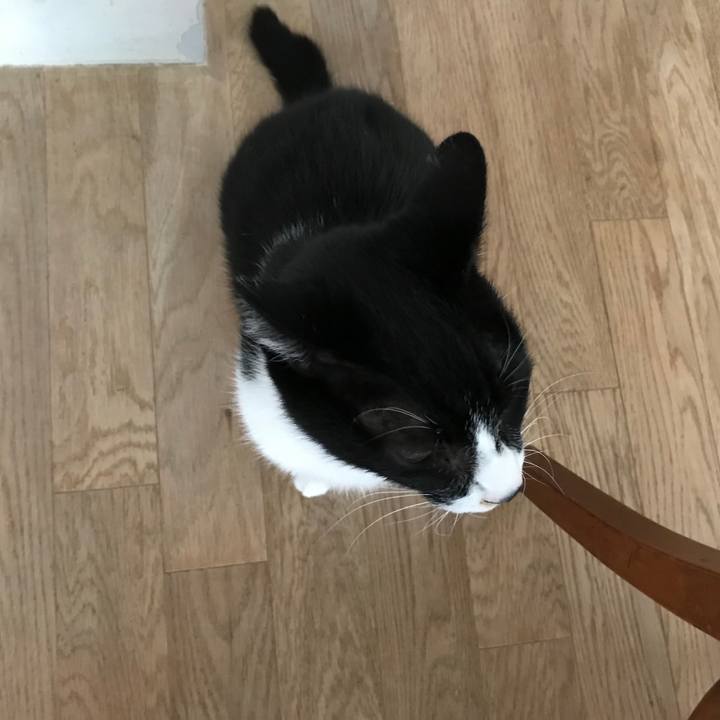 1df0e76b 503e 49bf 96d8 a3a322d91fb8 1511670178032