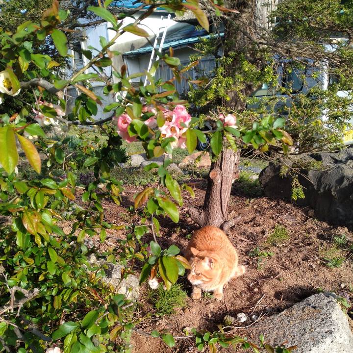 1df11e10 fbad 4296 91e8 64a586a55d2d 1681945364031