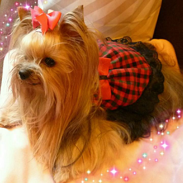 1df12987 9522 42d3 9838 fff0eb64d1cb 1534720730393