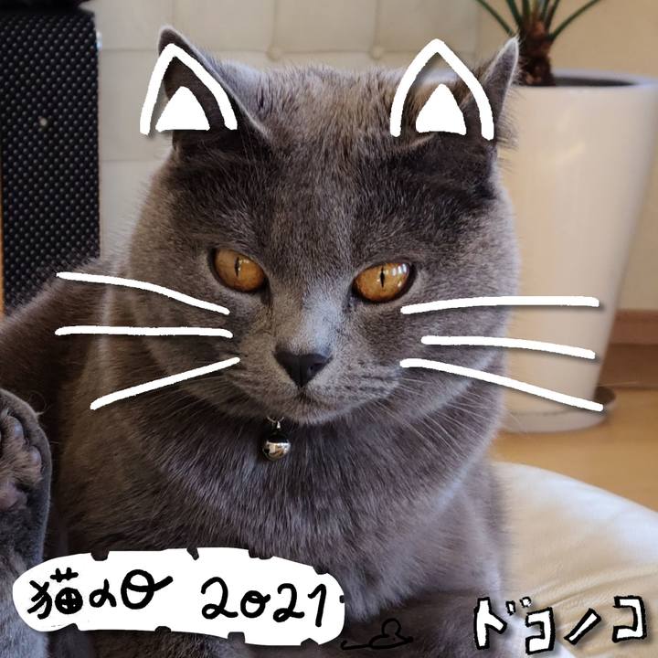 1df12fc4 0a9f 4b91 a845 e22731717911 1613998217586