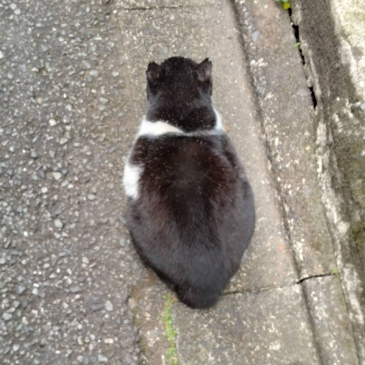 1df134f1 f57a 42e1 95b1 d28f64585f0f 1701732152749