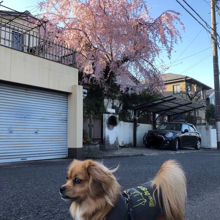 1df145a3 d5a5 43ca b247 1ed177d8560c 1522362947803