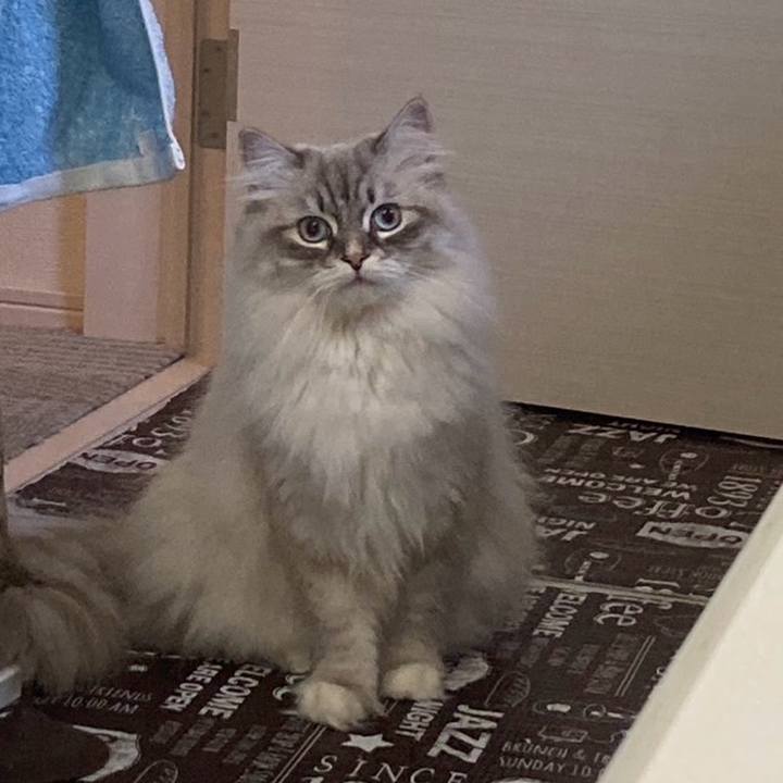 1df15833 97c6 4b1b 937f 67d2cb79ac1b 1709174483644