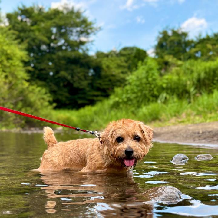 1df16585 7c75 4cbb 9fdf d0e7b241439a 1763820447072