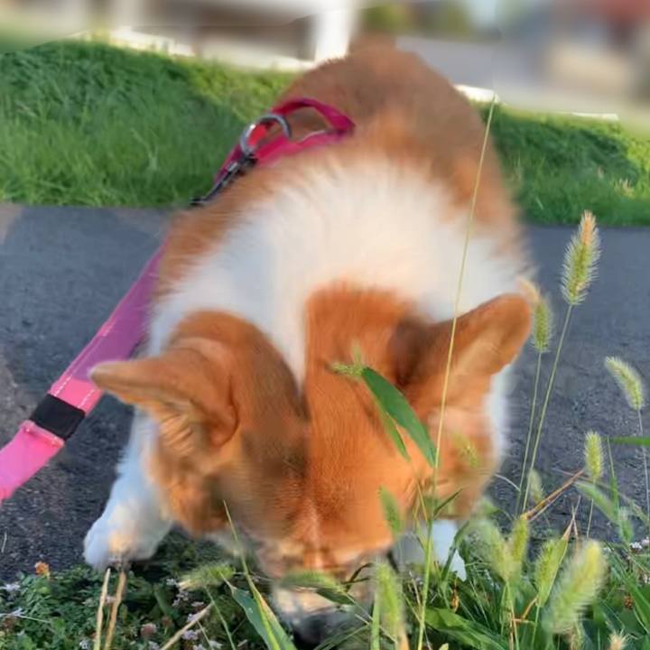 1df1697e f8c1 4da5 9e52 dd3c5889610c 1690319274308