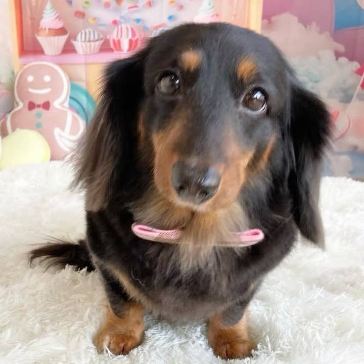 1df16e21 1768 4e04 bef1 cadc9d64c710 1743814262744