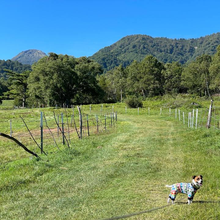 1df1744a 5ee6 4104 ab53 d672bb6b03c7 1633084749264