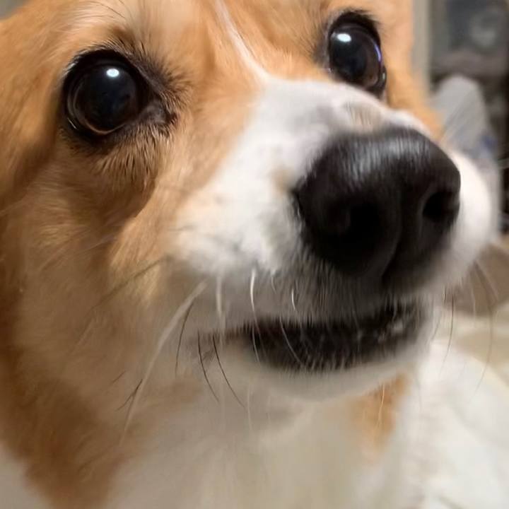 1df17b89 8da7 415f a118 94583429cb08 1613361141766