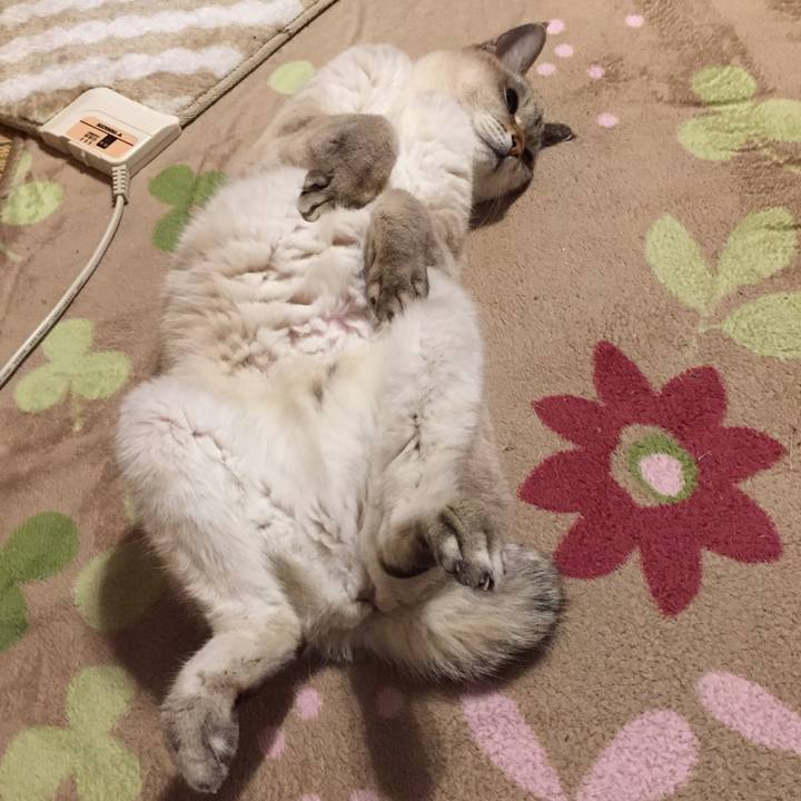 1df182b4 4af3 4042 aadf dbf8974de7a2 1578741342256