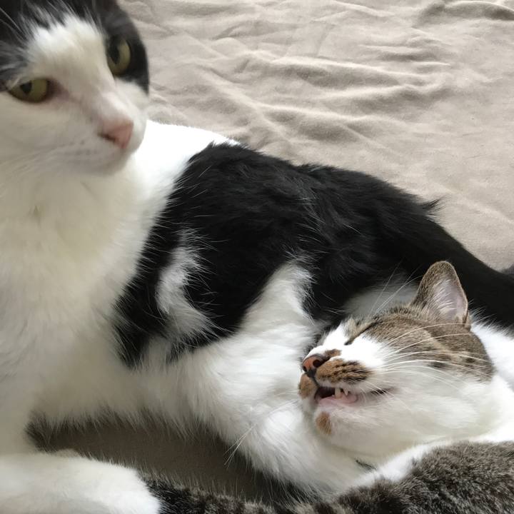 1df1916a 0ba3 4a52 b71e 08b82150df86 1534234272434