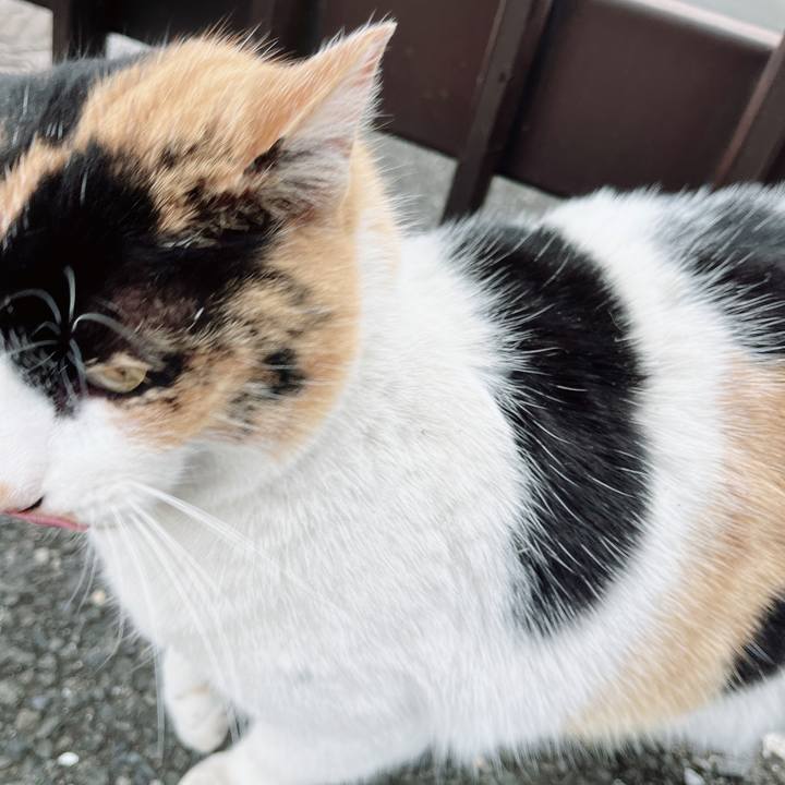 1df1d0d5 ea0b 4af6 8747 a8b4835a07be 1674891487803