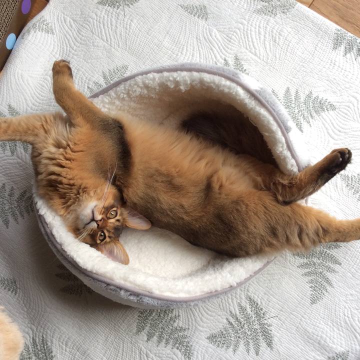 1df20a85 85ae 41ea a53e 3949f64ed35c 1574836556682